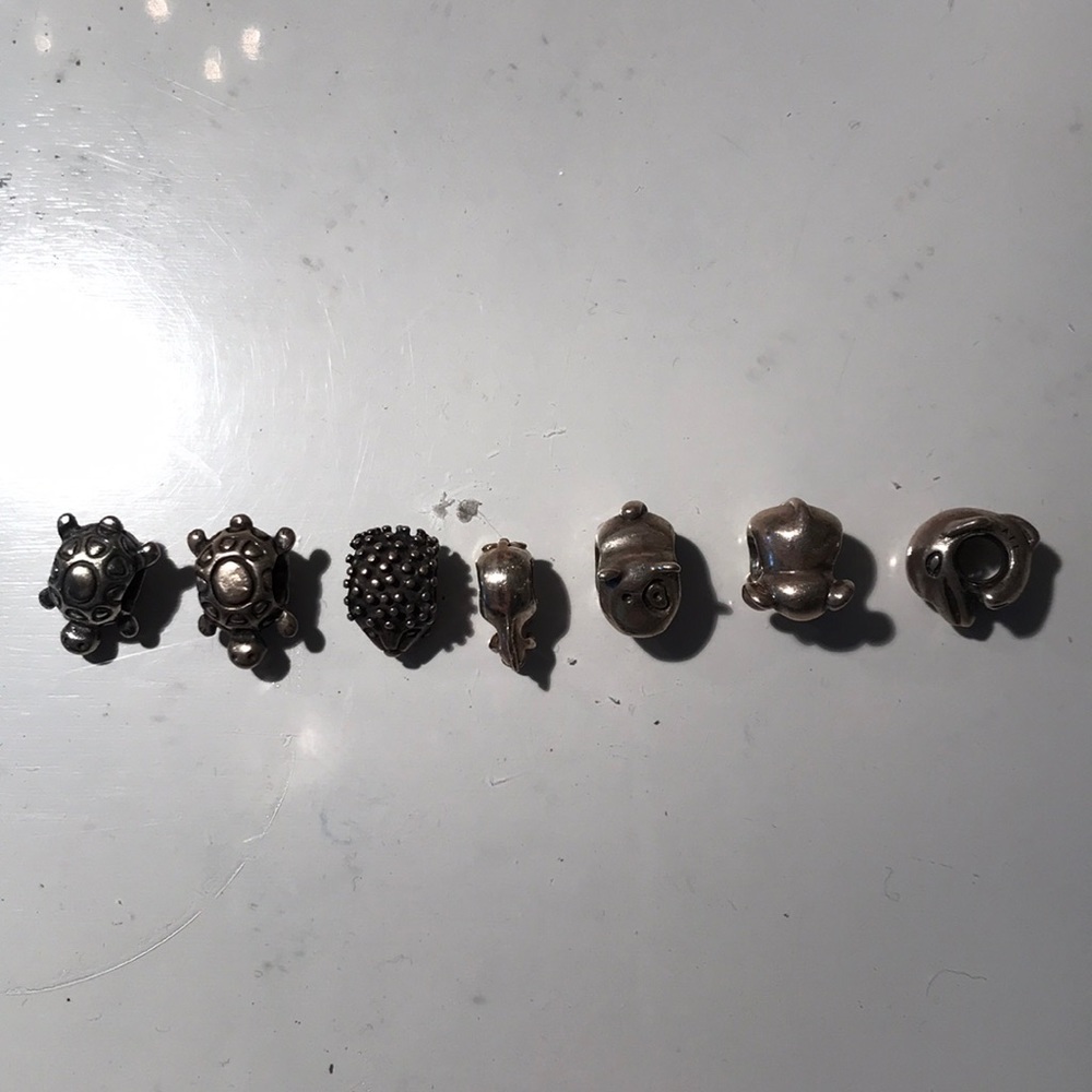 Pandora Bracelet Charms